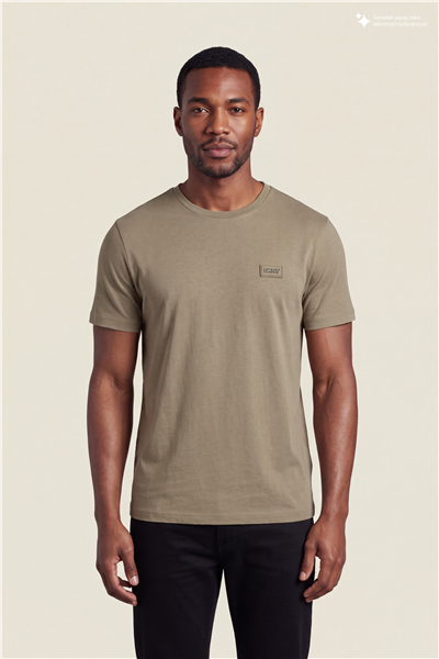 DKNY Silicone Logo Patch Tee Erkek Bisiklet Yaka T-Shirt Vizon