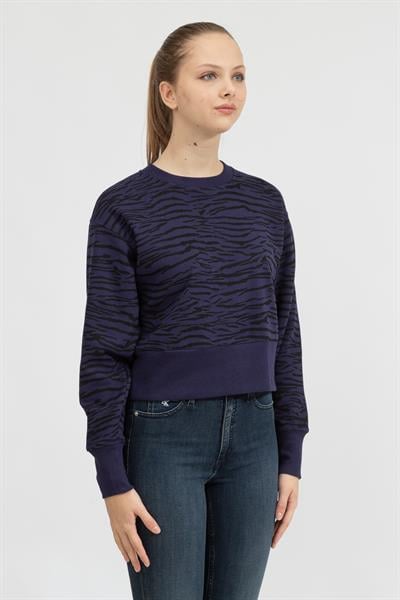 DKNY Tiger King Print Cro Kadın Triko