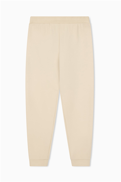 EA7 Erkek Eşofman Altı