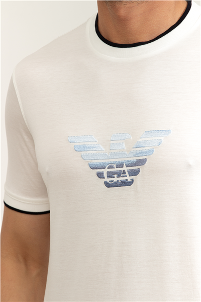 Emporio Armani Erkek Bisiklet Yaka T-Shirt