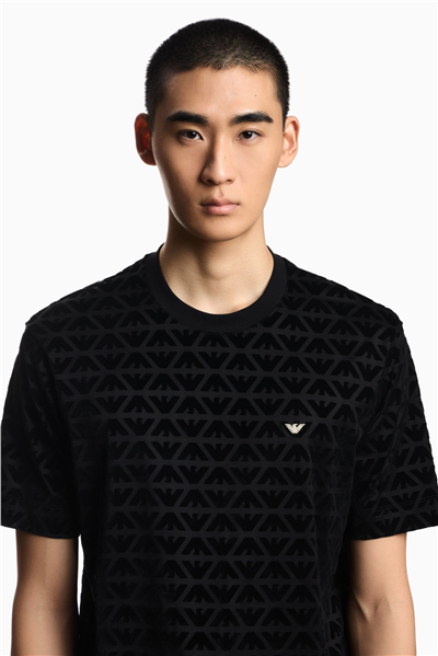 Emporio Armani Erkek Bisiklet Yaka T-Shirt