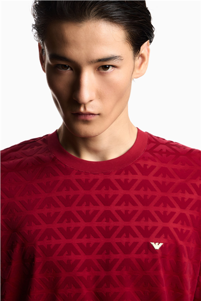 Emporio Armani Erkek Bisiklet Yaka T-Shirt