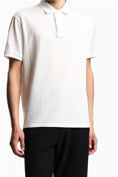 Emporio Armani Erkek Polo Yaka T-Shirt Çok Renkli