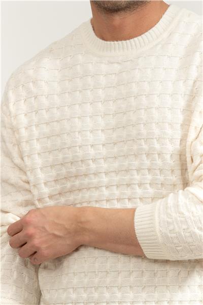 Emporio Armani Erkek Triko