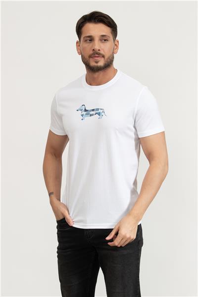 Harmont Blaine Erkek Bisiklet Yaka T-Shirt