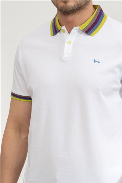 Harmont Blaine Erkek Polo Yaka T-Shirt
