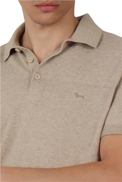Harmont Blaine Erkek Polo Yaka Triko