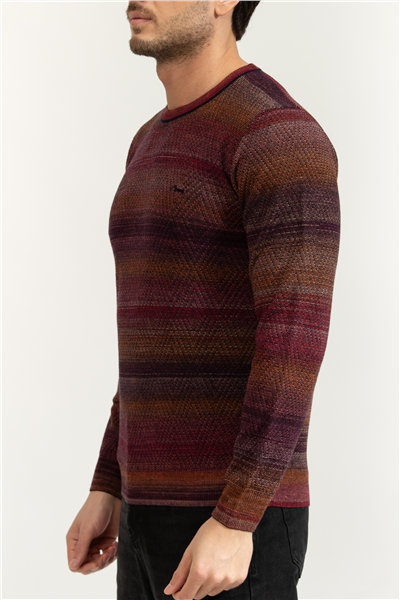 Harmont Blaine Erkek Triko