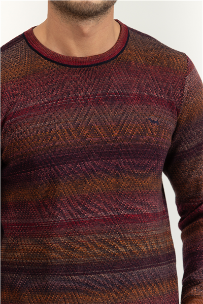 Harmont Blaine Erkek Triko