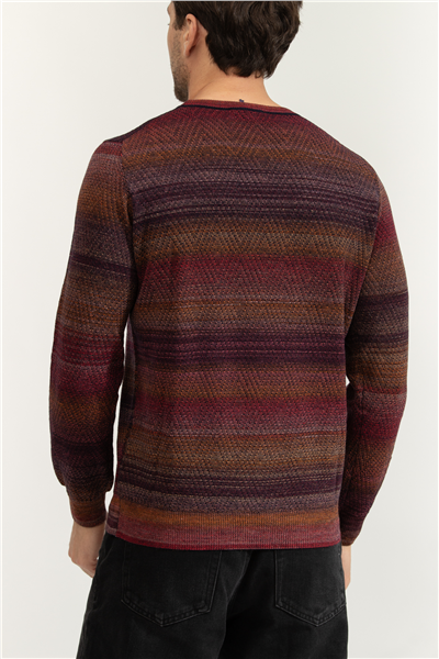 Harmont Blaine Erkek Triko