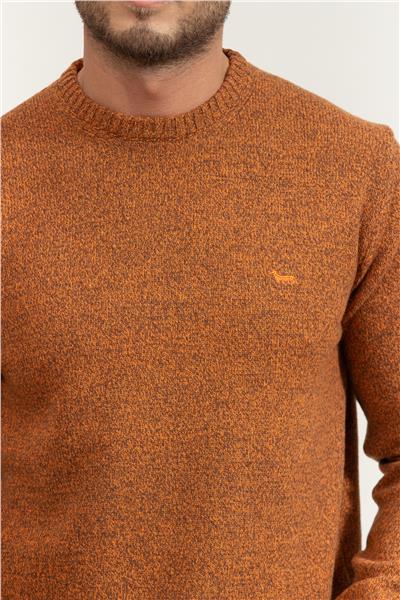 Harmont Blaine Erkek Triko