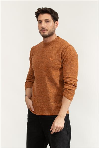 Harmont Blaine Erkek Triko