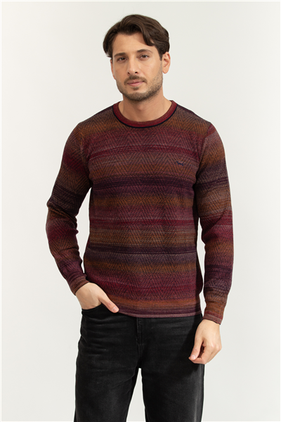 Harmont Blaine Erkek Triko