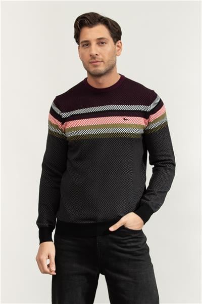 Harmont Blaine Erkek Triko