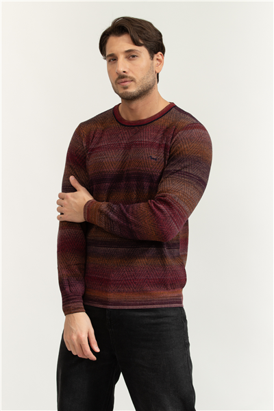 Harmont Blaine Erkek Triko