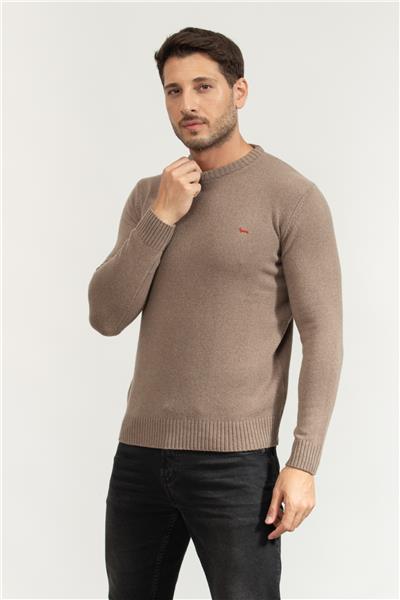 Harmont Blaine Erkek Triko