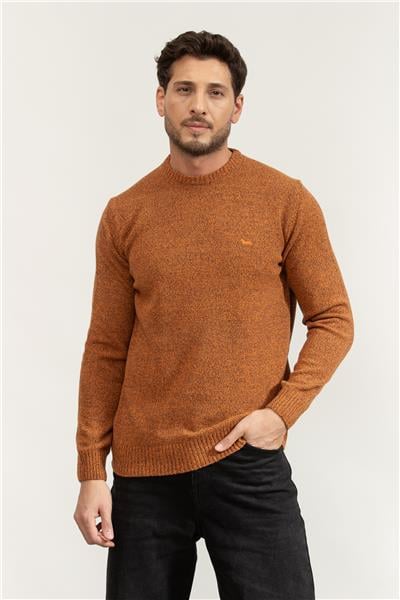 Harmont Blaine Erkek Triko