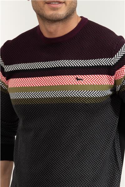 Harmont Blaine Erkek Triko