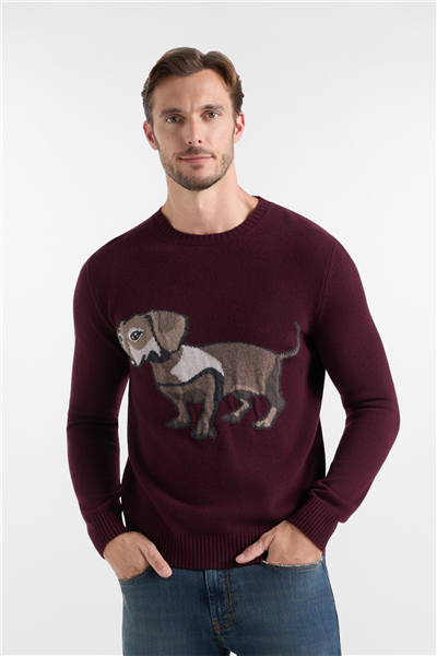 Harmont Blaine Pull Jaquard Intarsio Erkek Triko