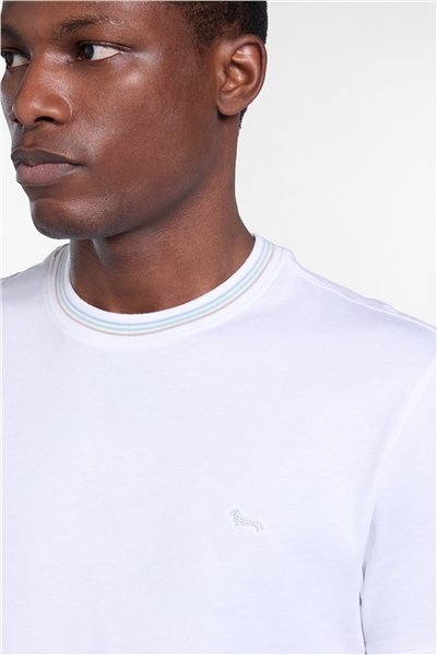 Harmont Blaine T Shirt Orli E Collo Riga Erkek Bisiklet Yaka T-Shirt Beyaz