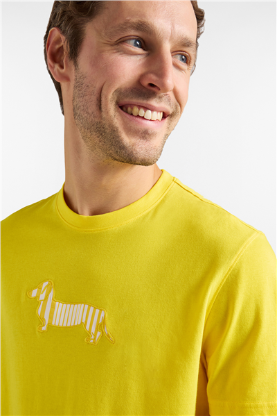 Harmont Blaine T Shirt Sorbetto Erkek Bisiklet Yaka T-Shirt