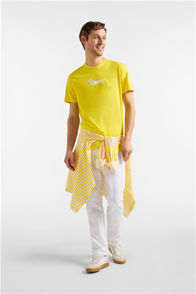 Harmont Blaine T Shirt Sorbetto Erkek Bisiklet Yaka T-Shirt