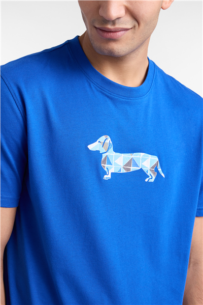 Harmont Blaine T Shirt Stampa Bassotto 3 Erkek Bisiklet Yaka T-Shirt Çok Renkli
