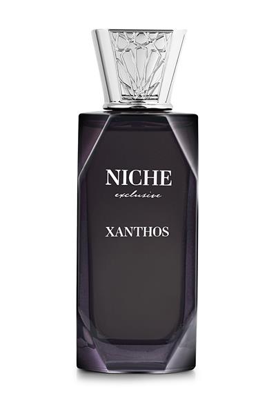 Niche Exclusive Erkek Parfüm