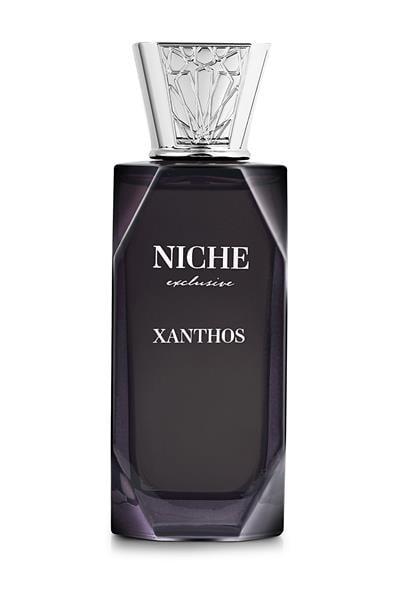 Niche Exclusive Erkek Parfüm