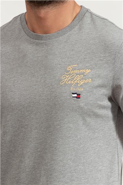 Tommy Hilfiger Erkek Bisiklet Yaka T-Shirt