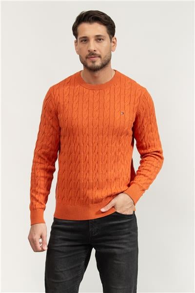 Tommy Hilfiger Erkek Triko