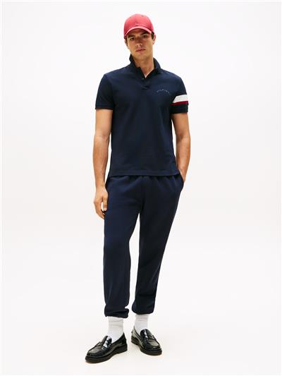 Tommy Hilfiger Rwb Sleeve Tape Reg Erkek Polo Yaka T-Shirt