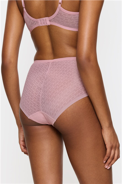 Triumph Kadın Triumph Signature Sheer Maxi EX Külot Çok Renkli
