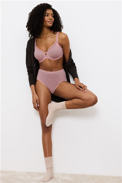 Triumph Kadın Triumph Signature Sheer Maxi EX Külot Çok Renkli