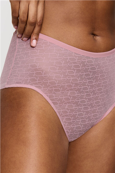 Triumph Kadın Triumph Signature Sheer Maxi EX Külot Çok Renkli