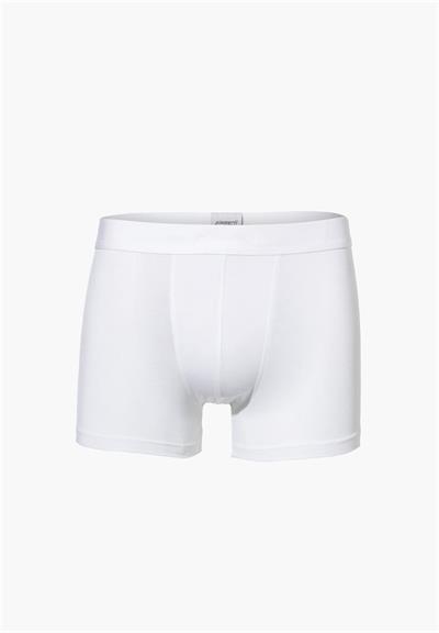 Zimmerli Erkek Boxer