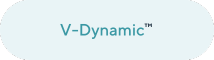 V-Dynamic