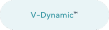 V-Dynamic
