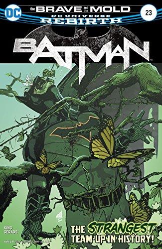 batman-23--2a10-.jpg