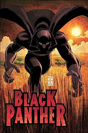 Black Panther: Who İs The Blcak Panther? HC