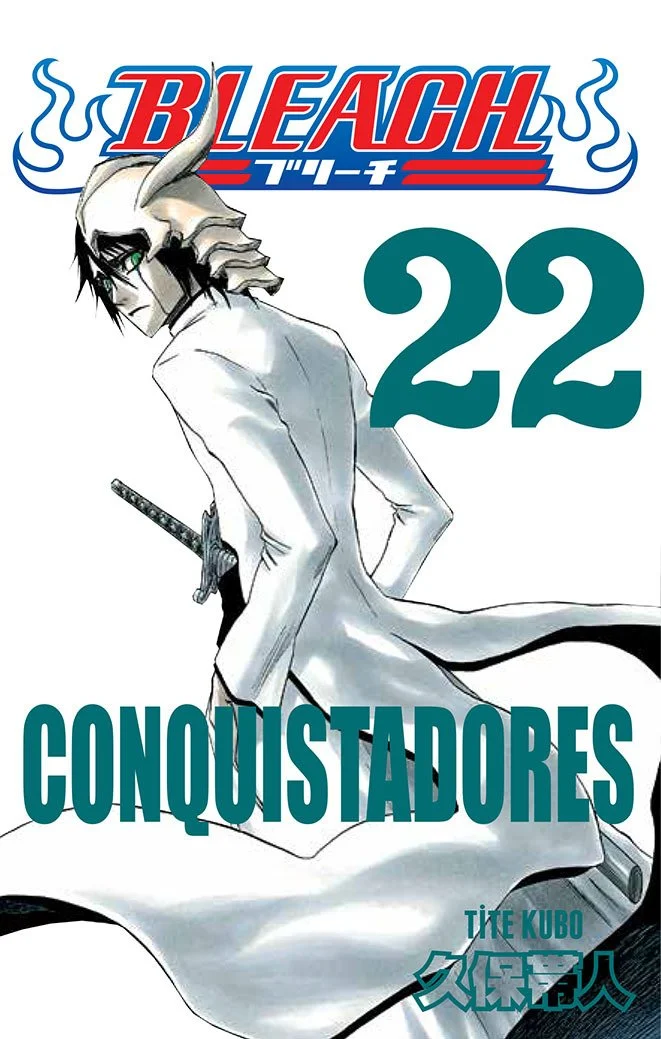 Bleach 22.Cilt