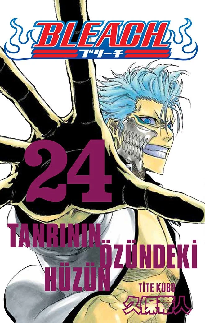 Bleach 24.Cilt