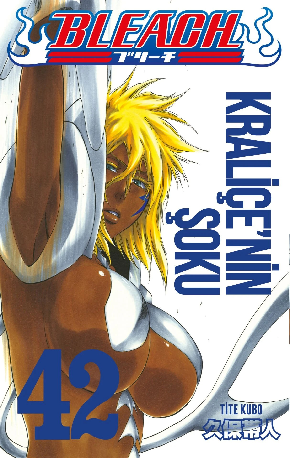 Bleach 42.Cilt