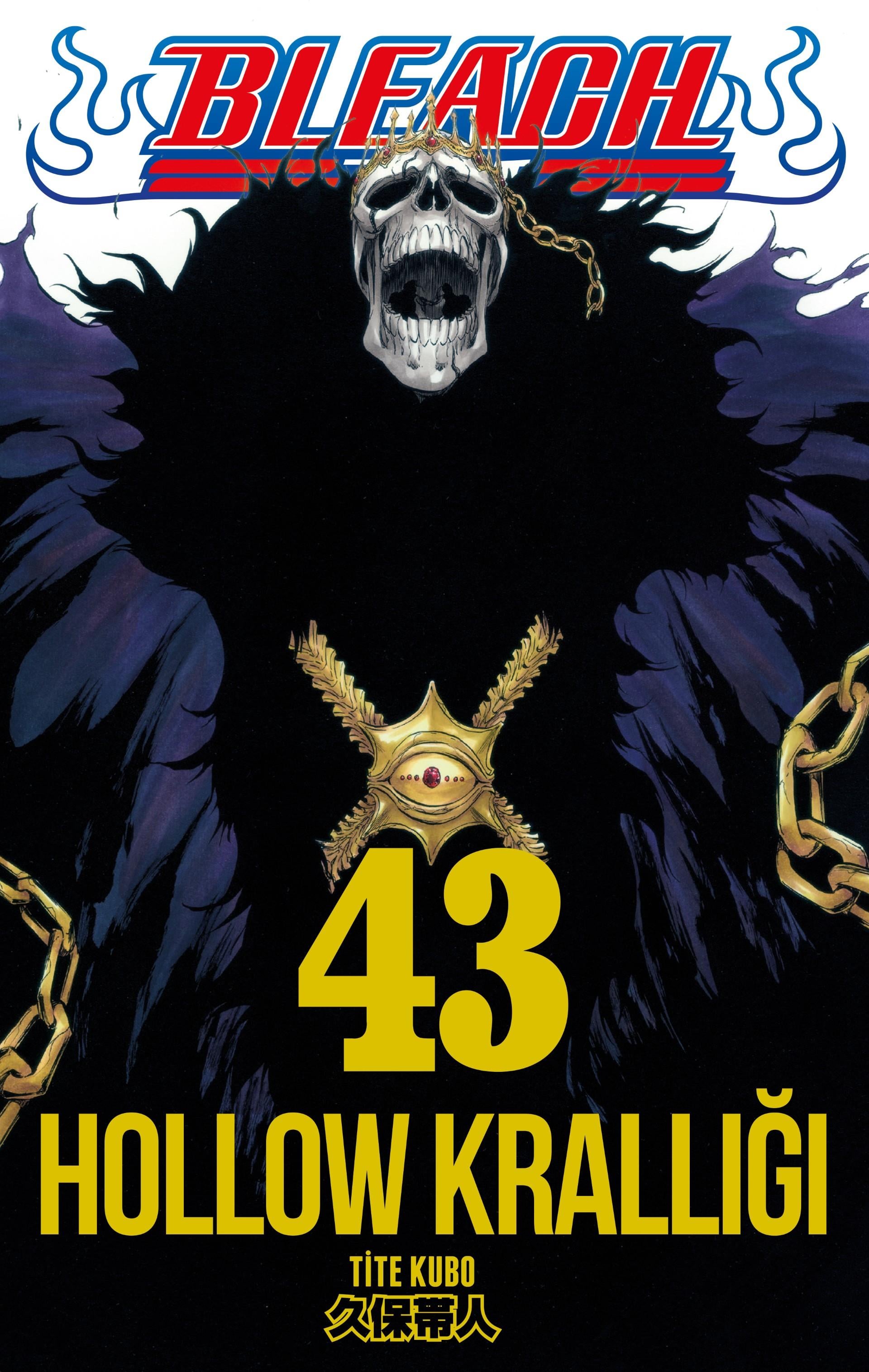 Bleach 43.Cilt
