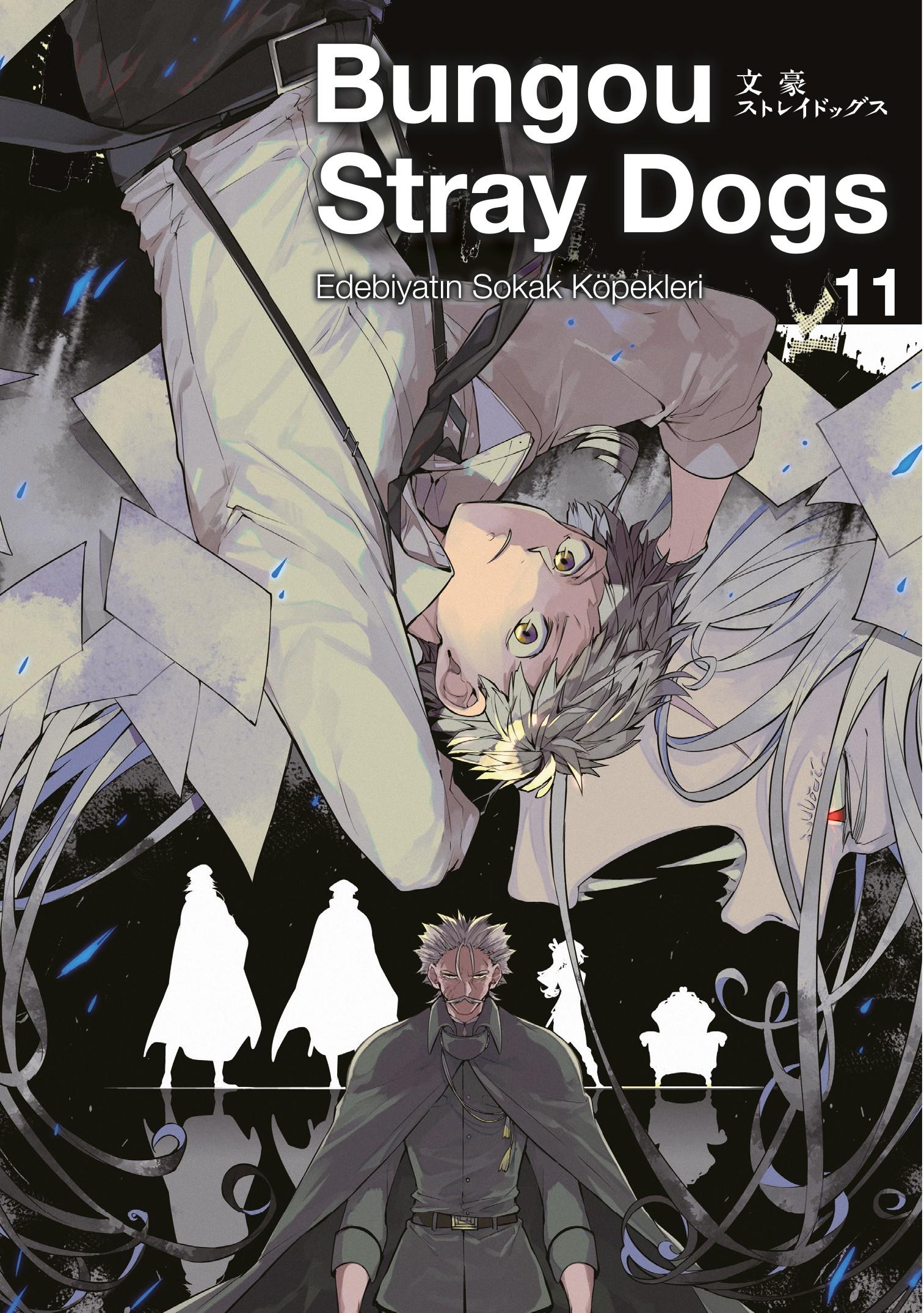 Bungou Stray Dogs 11.Cilt