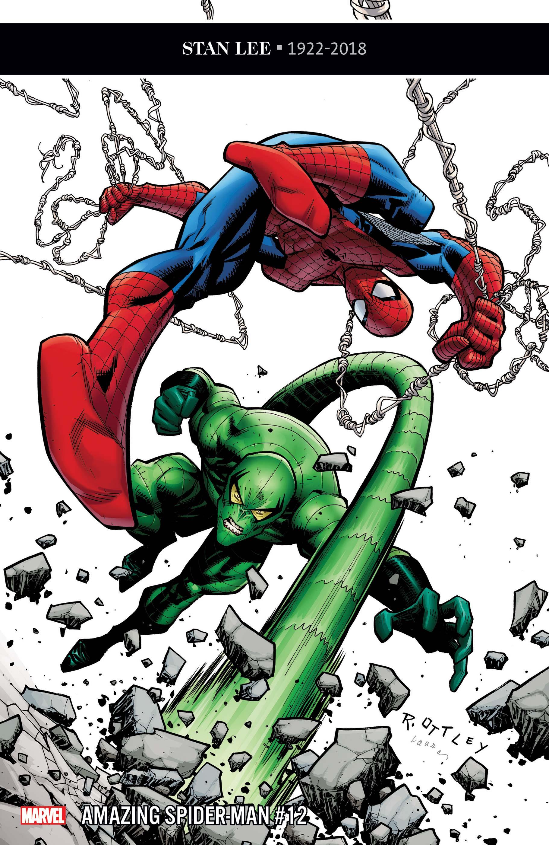 the-amazing-spider-man-12--249b4.jpg
