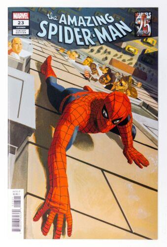 the-amazing-spider-man-23-daniel-acuna-c58-0c.jpg