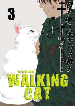 Walking Cat 3