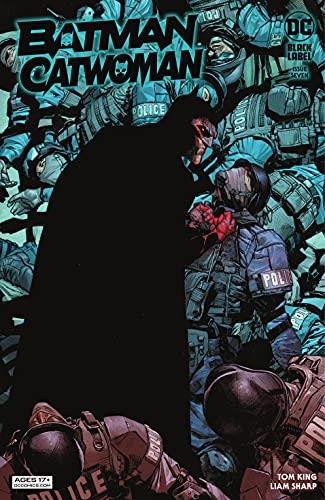 batman-catwoman-7-dc-424.jpg