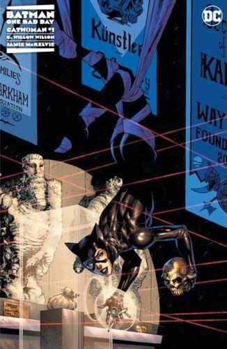 batman-one-bad-day-catwoman-1-cover-b--4053-a.jpg